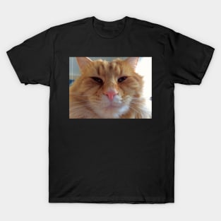 OllieBear Ginger Kitty Cat T-Shirt